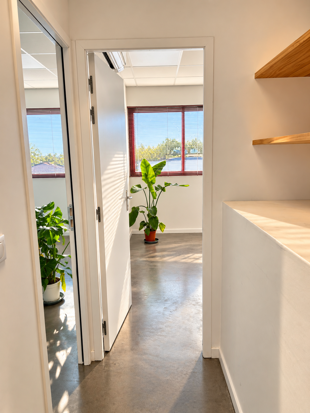 Couloir d'accès au bureau avec plantes et rangements